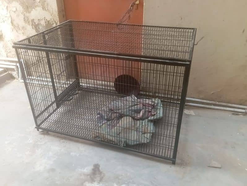 breeding cage for exotic birds or dogs 0