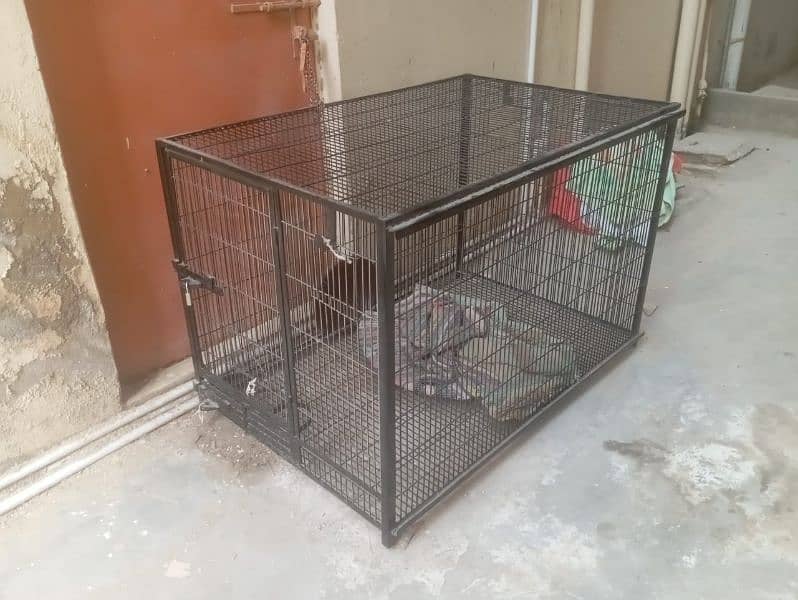 breeding cage for exotic birds or dogs 1