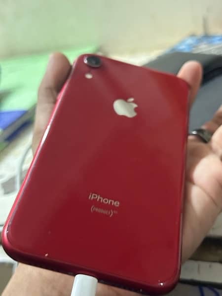 Iphone Xr 64 GB 10