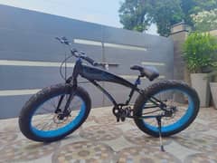 Fat Bike