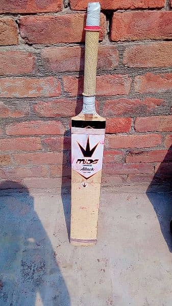 hard ball cricket kit 9