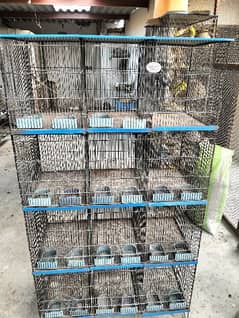 12 Portion Cage