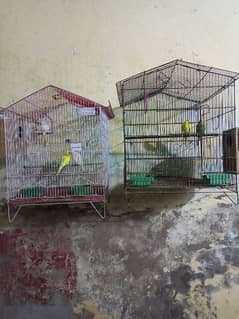2 cage for sale