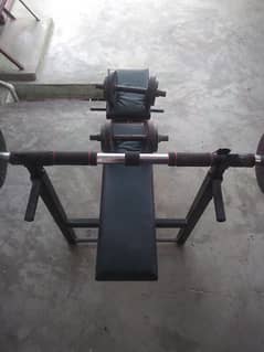 Bench Dumbbell and Barbell