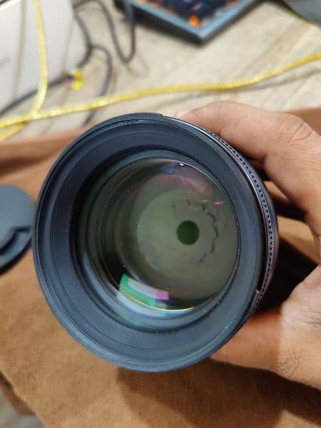 sigma 85mm 1.4 lens 4