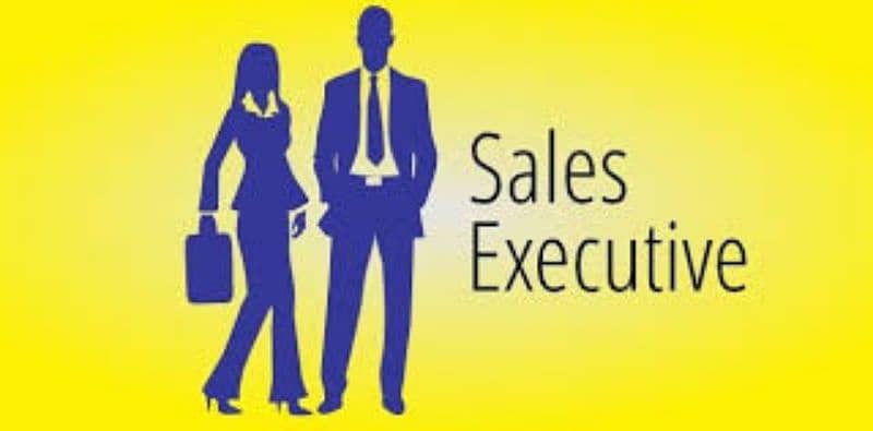 sales Executive 0