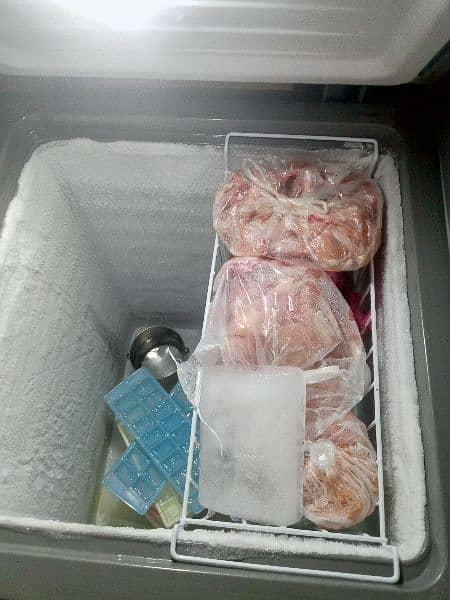 deep freezer Dawlance company 0