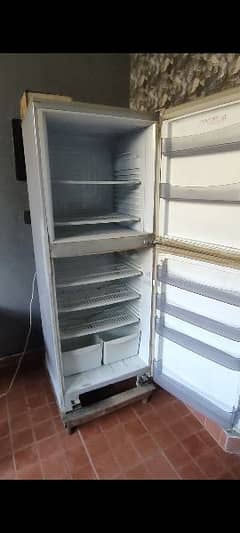 Pel Jumbo  Fridge 0