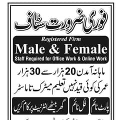 online and office based jobs for males and females