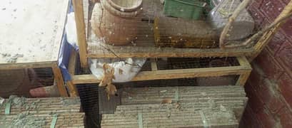 like new birds cages 3 (1*1.6) inc