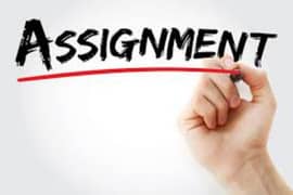 Here you can find all the type of assignment in written form.