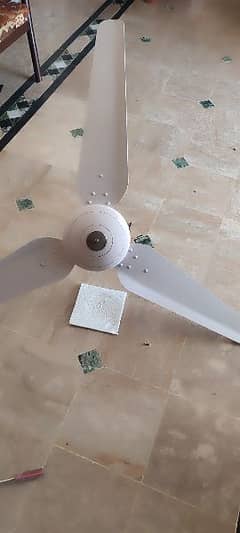 ceiling fan millat