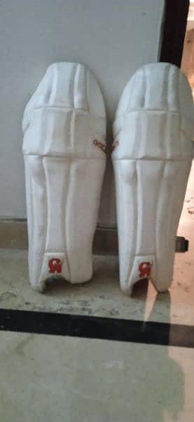 LBW pads / leg pads 0