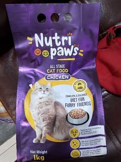 cat feed