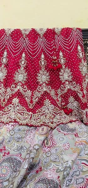 Indian style red lehnga full 0