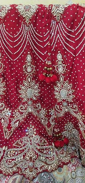 Indian style red lehnga full 3