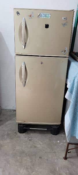 Medium size refrigerator 5