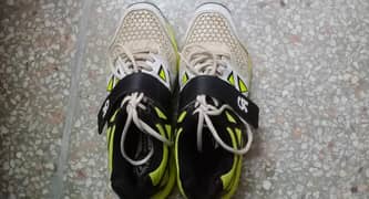 CA original sports shoes in excellent condition