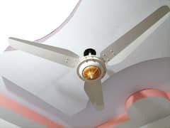 Fan Ceiling Fan SK Caroma 220v 0