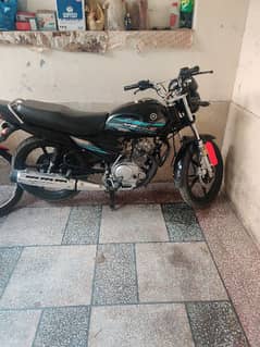 Yamaha yb125z dx 2023 0