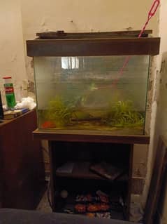 2 aquarium for sale at throw away price