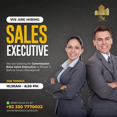 Sales Execuitve