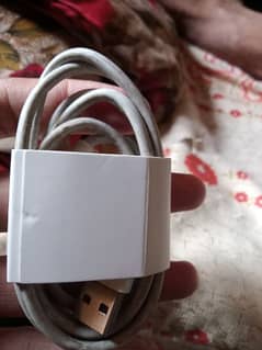 vivo y17 s charger available ha