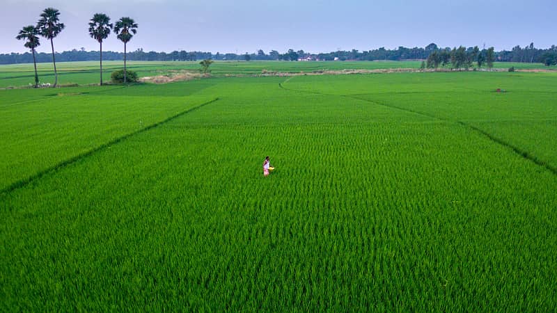 Pakistans first sustainable and eco-friendly Farm Houses Plots on instalments 9