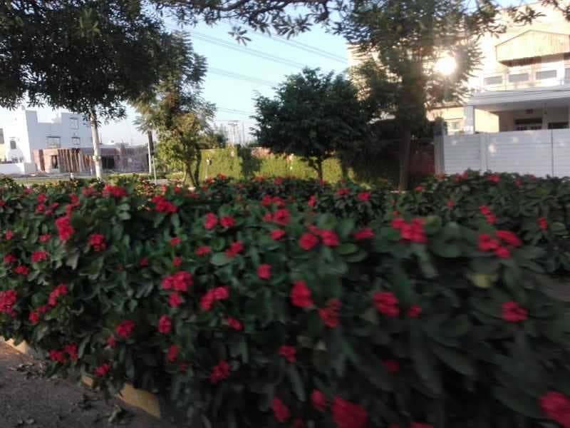 Perfect 10 Marla Residential Plot In Wapda City - Block A For sale 10