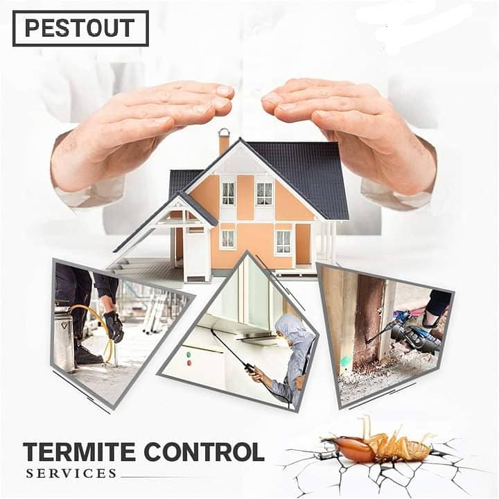 Deemak Spray-Fumigation-Pest Control-dengue spray affordable prices 5