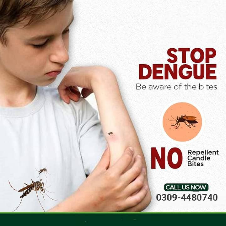 Deemak Spray-Fumigation-Pest Control-dengue spray affordable prices 11