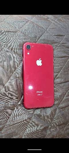 iPhone XR 128 GB (Non PTA)