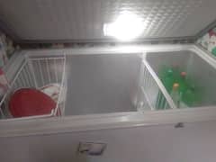 dominance deep freezer for sale genuine position A1 cooling