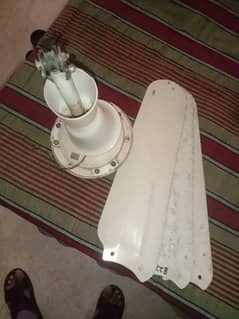 Used Fan for Sale – Reliable and Affordable!