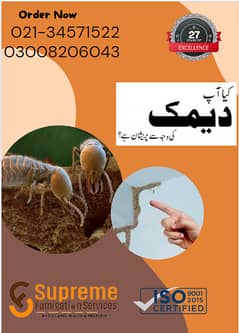 Termite Control in Karachi