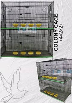 Cages | Birds Cage | Hens Cage | Parrots Cage | Available