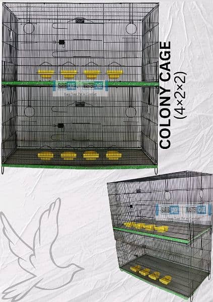 Cages | Birds Cage | Hens Cage | Parrots Cage | Available 1