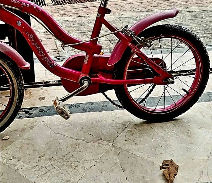 Diana's imported bicycle 2