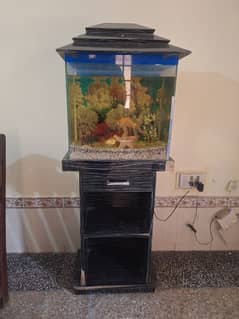 Fish case with 2 fishes