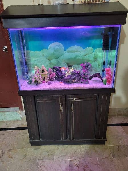 Aquarium 3 feet 8x8 thick glass 2