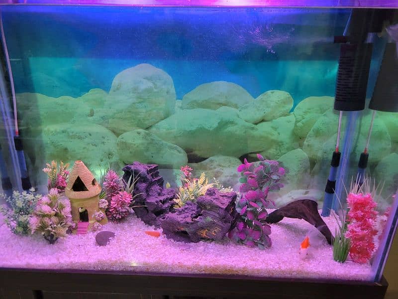 Aquarium 3 feet 8x8 thick glass 6