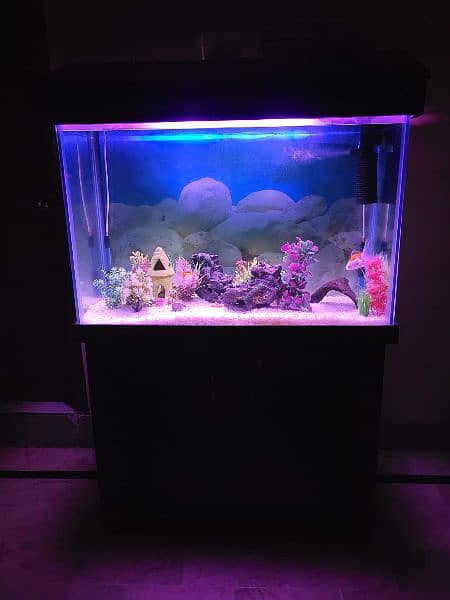 Aquarium 3 feet 8x8 thick glass 8