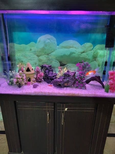 Aquarium 3 feet 8x8 thick glass 9