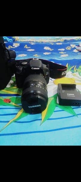 Canon 600D condition 10 by 10 2