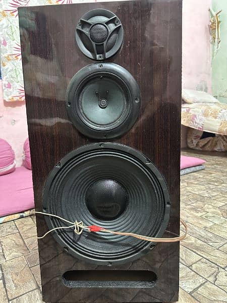 10 Inch speaker with Bluetooth amplifier 1