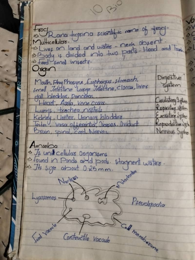 Handwriting assessment work 9