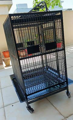 Bird cage for sale