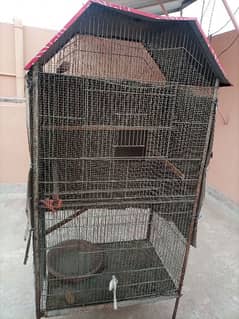 Cage for sale best for parrots specially for love birds