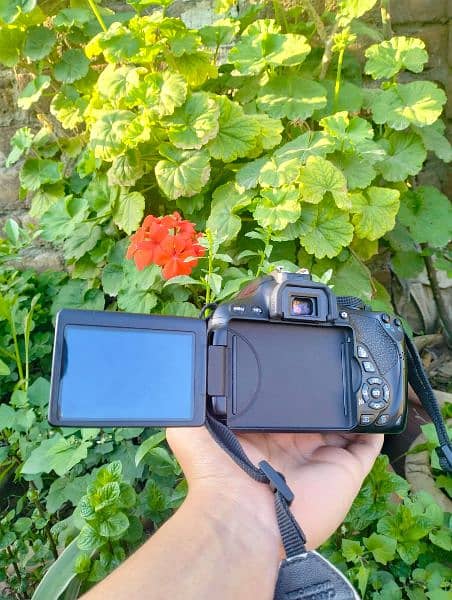 Cannon D700 (Touch Screen) 1