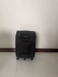 original branded Leaves King luggage bag small size